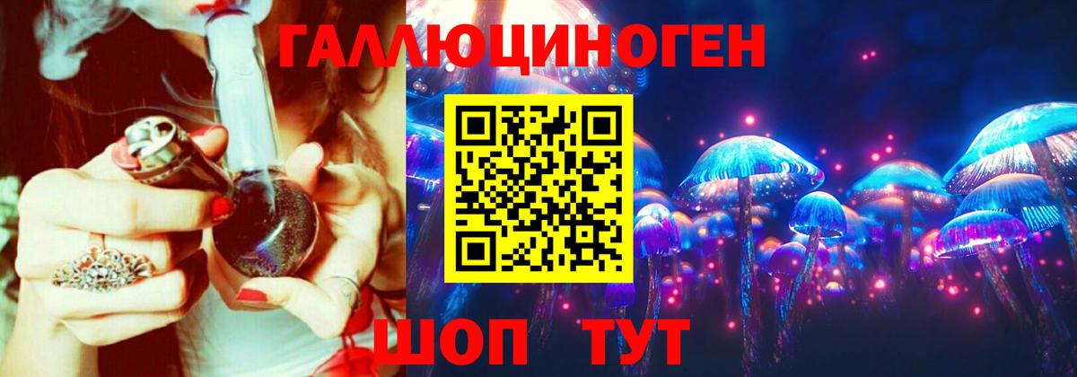 Псилоцибиновые грибы Psilocybine cubensis Орск